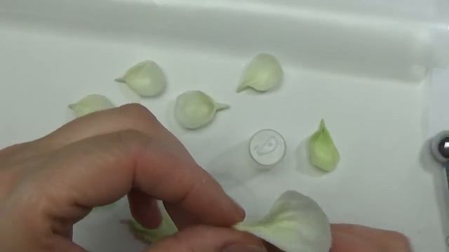 Мастер Класс Холодный фарфор .Веточка с цветами МК от Риты :)) смотреть онлайн