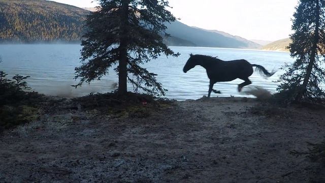 Yukon Hunting Oct 2019 смотреть онлайн