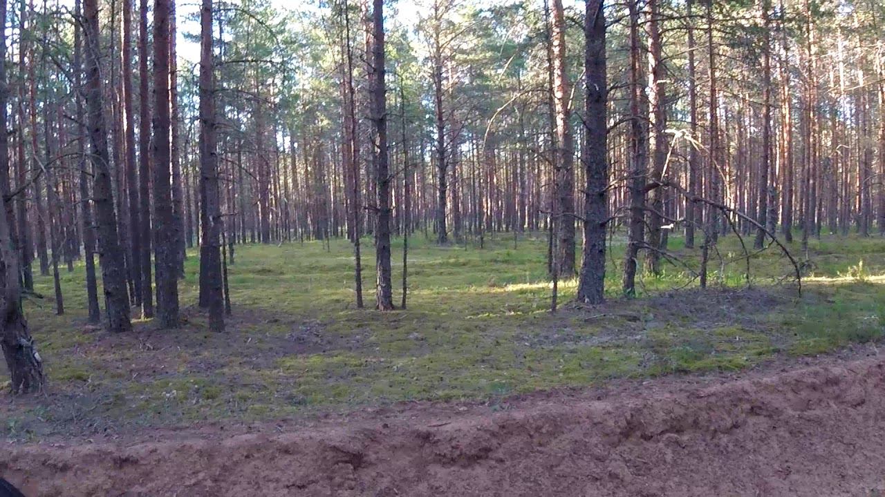 заяц 2 смотреть онлайн