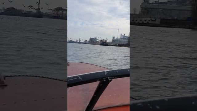 Дон, порт, Ростов, Катер Днепр, мотор микацу 9,9 смотреть онлайн