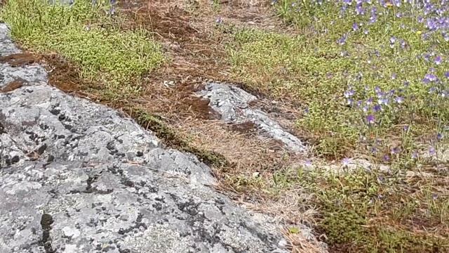 Сортавала Городской парк Ваккосалми смотреть онлайн