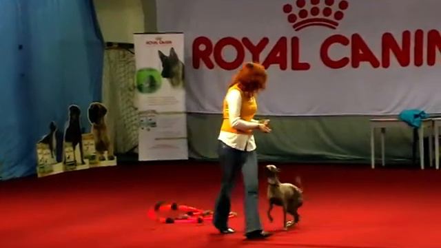 Цирк Ежевика смотреть онлайн