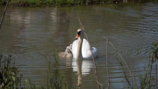 Как избежать конфликтов в семье во время карантина