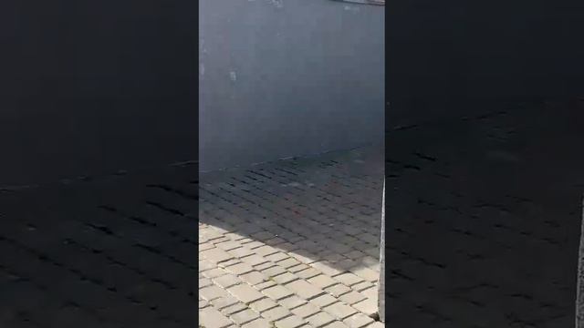 Видео WhatsApp 2024 02 28 в 16 31 24 76555d1c смотреть онлайн
