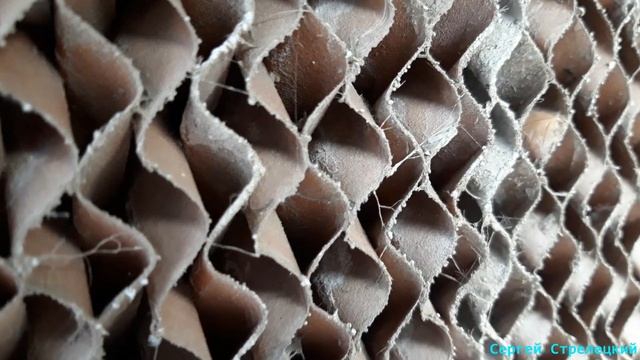 Впечатления о системе охлаждения у бройлеров! смотреть онлайн