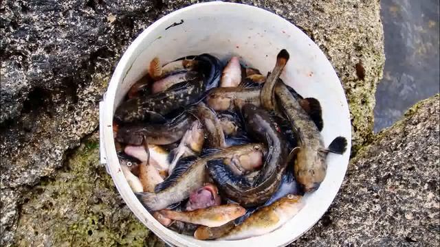 Рыбалка на Азове. смотреть онлайн