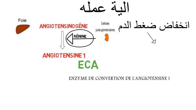 Captopril تعرف على دواء