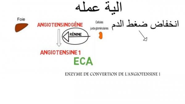 captopril تعرف على دواء