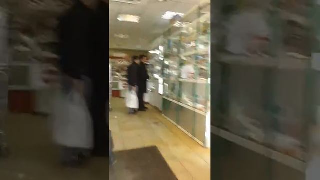 г. Москва ул. Беловежская д. 79 (внутри) смотреть онлайн