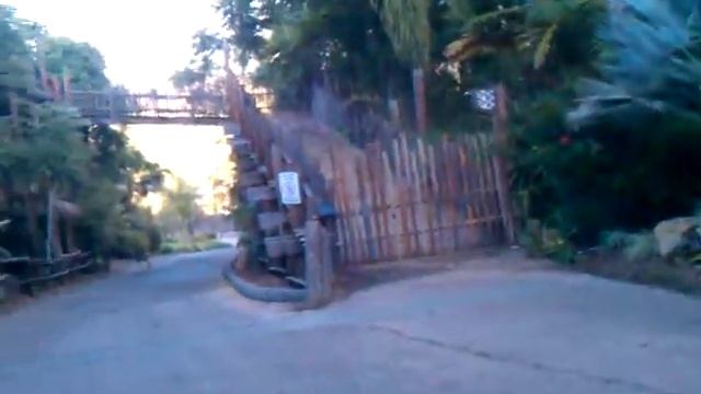 Fun time at wild animal park смотреть онлайн
