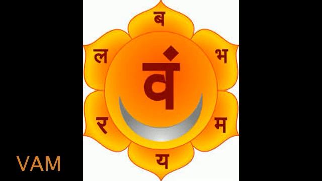 Великая биджа мантра ВАМ. СИЛЬНЕЙШИЕ МАНТЫ ВЛИЯЮЩИЕ НА СУДЬБУ смотреть онлайн