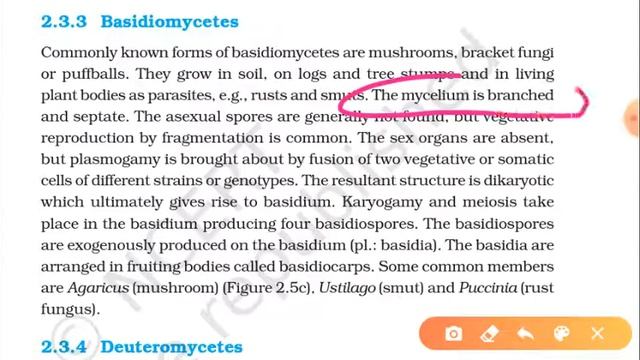 Ascomycetes, Basidiomycetes and Deuteromycetes смотреть онлайн