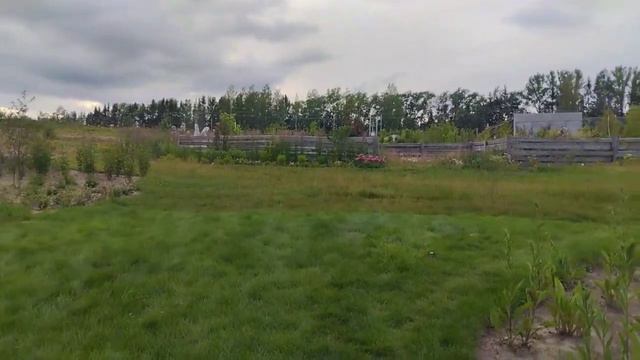 Ежедневный отчёт. До фестиваля 28 дней. Немного о парке и друзьях Репейника. смотреть онлайн