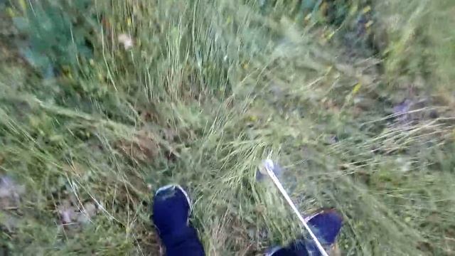 DEFİNE ARAMA ÇUBUKLARI TEST