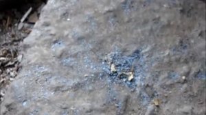 МАШИНА ДЁРГАЕТСЯ ПРИ РАЗГОНЕ НА ГАЗУ. Оказалось всё просто.