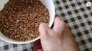 Прикормка на весь сезон!!! Рыбалка на Карпа, Карася Плотву и Леща!!!