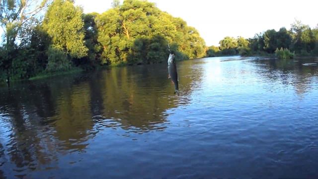 Дон... и почти пустые перекаты смотреть онлайн