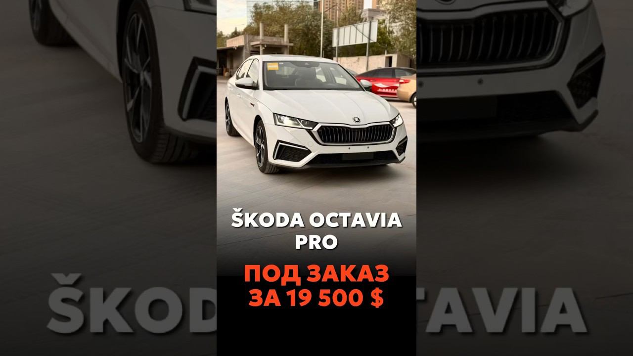 ŠKODA OCTAVIA В МАКСИМАЛКЕ ПОД ЗАКАЗ ЗА 19.500 $ #новыеавтомобили #автоподзаказ #automobile смотреть онлайн