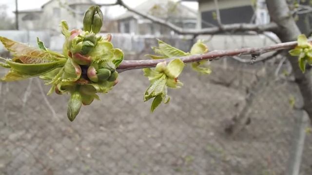 FujiFilm FinePix s 2980 TEST VIDEO 2013 смотреть онлайн
