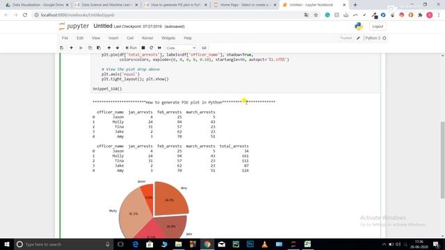 Pie Charts in Python смотреть онлайн