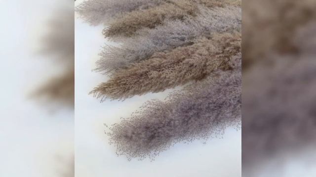 Пампасная трава Кортадерия сухоцвет в шоуруме OBJECTS | Dried flower - pampas grass Cortaderia смотреть онлайн