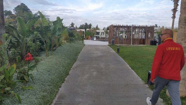 PALOMA FINESSE краткий обзор