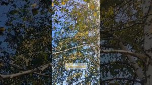 аномалия 😊🤷♀️