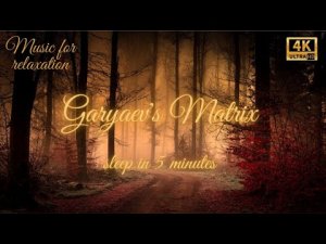 Матрица Гаряева Для Сна | 5 Минут И Ты Сразу Же Глубоко Заснешь