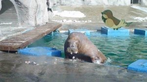 Где обедал воробей стихотворение для детей.