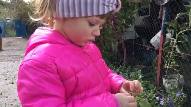 Гадание "Любит, не любит, к сердцу.....пошлет"))) - Лика Хурция ( 4 года ) смотреть онлайн