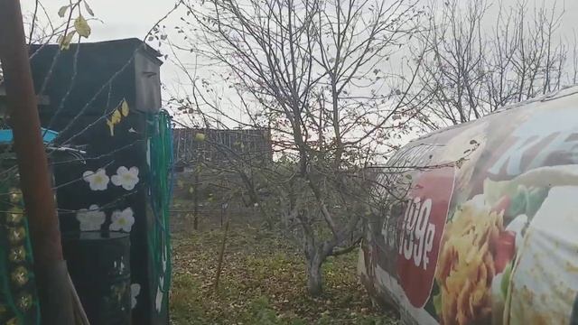 ЖИЗНЬ БЕРЕМЕННОЙ СВИНЬИ/ life of a pregnant pig смотреть онлайн