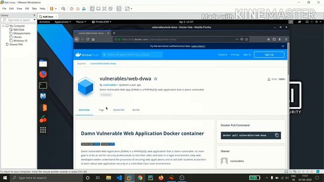 Installing DVWA within Kali Linux using docker смотреть онлайн