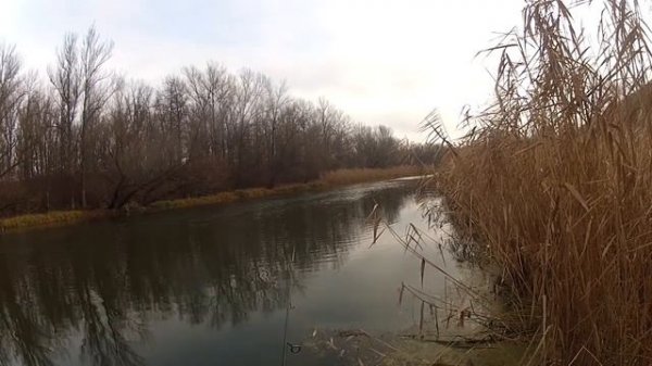 Ловля окуня зимой. Рыбалка на уловистую приманку Fish Tail