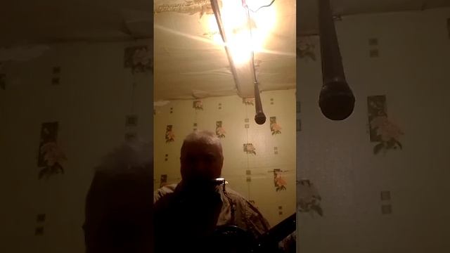 Гадание на ромашке . Музыка и слова Николая Кенор. исполняет для своих подписчиков - 2023 г смотреть онлайн