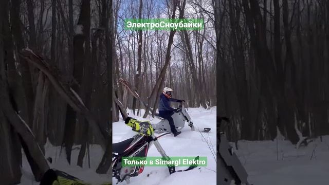 Едет как снегоход, управляется как мотоцикл ?