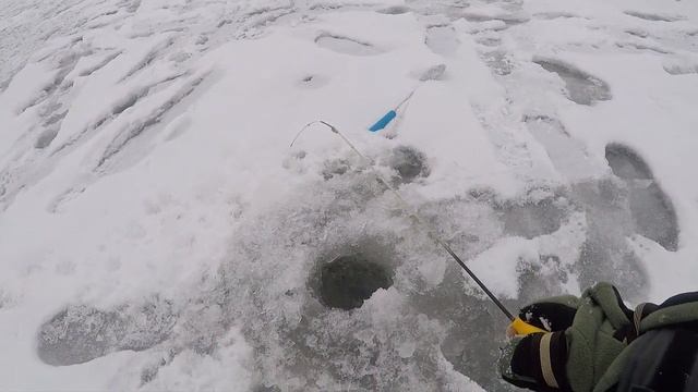 Зимняя рыбалка река Сейм.Ловля плотвы, окуня, подлещика.Зимние снасти.#Рыбалка смотреть онлайн