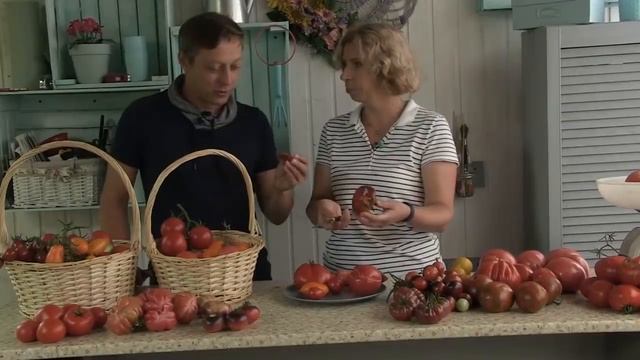 Дачные сезоны 18.08.18. Выбираем самые вкусные томаты смотреть онлайн
