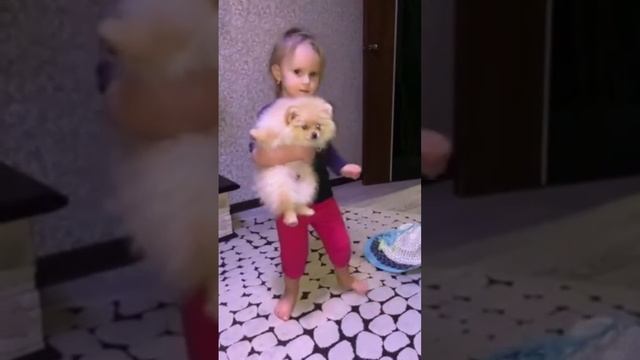 Когда подарили собаку, ведь она лучше #хагиваги #ясминка&family #вместевеселей #будьсобой смотреть онлайн