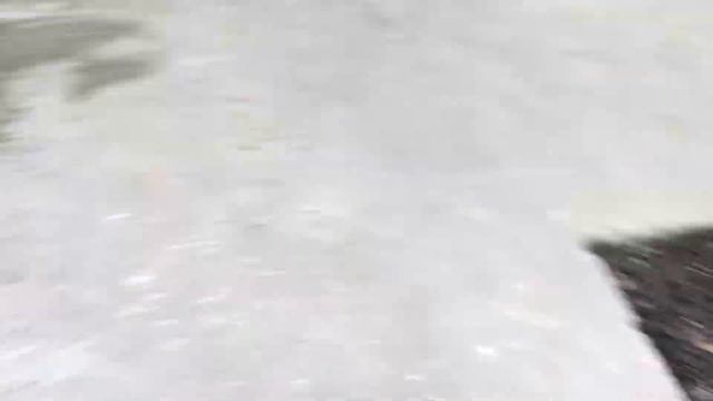 Скоро весна, гиацинты проклюнулись!!! смотреть онлайн