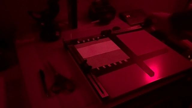 Darkroom Printing Part 3 - The Basic Print