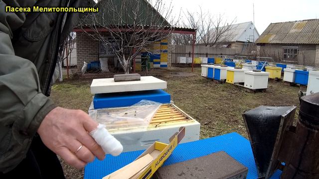 Обработка пчел от клеща весной смотреть онлайн