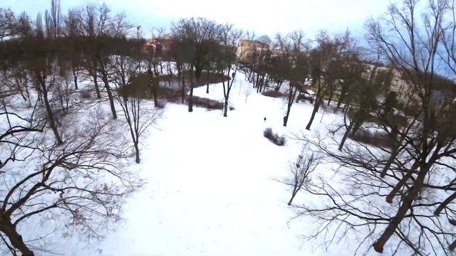Drone DJI Avata fly on small forest смотреть онлайн