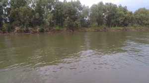 РЫБАЛКА НА САЗАНА! Часть 1. Камень-на-Оби.