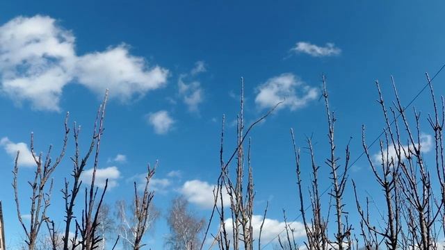 10 признаков уважения в отношениях смотреть онлайн