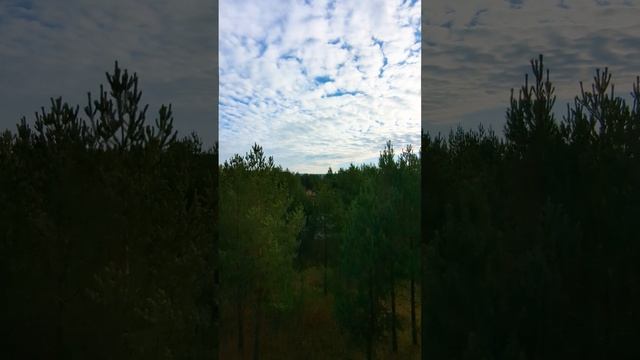 Дом в Рассохе смотреть онлайн