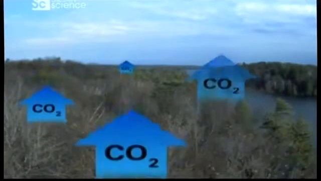 Наука техника и мир Камера со спектральным фильтром для съемки леса смотреть онлайн