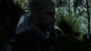 Прохождение Ведьмак 3, Хозяйки Леса #2, Уничтожить Сердце в Корнях Дерева