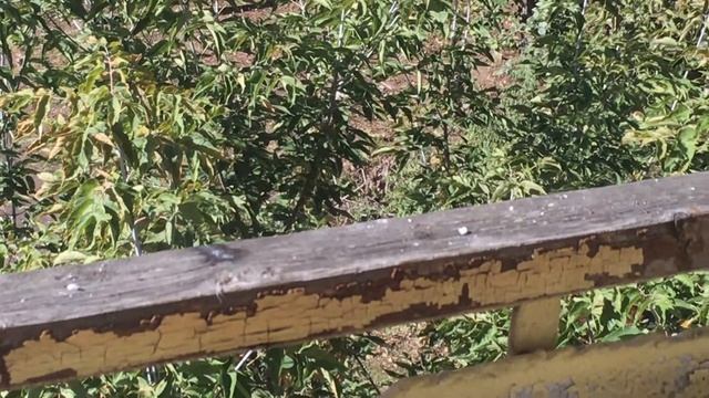 Люмпены гадят смотреть онлайн