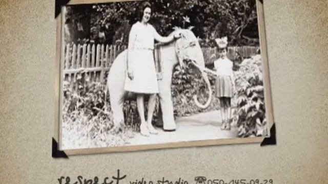 Красноград. Юбилей (фотоальбом) смотреть онлайн