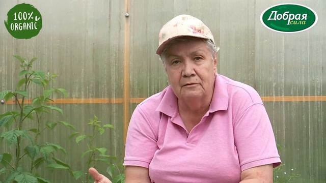 Конский навоз  - лучшее органическое удобрение для вашего сада и огорода. Добрая сила